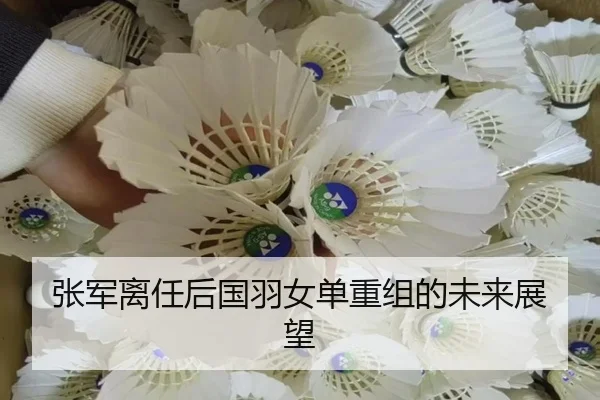 张军离任后国羽女单重组的未来展望