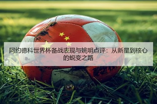 阿约德科世界杯备战表现与姚明点评:从新星到核心的蜕变之路